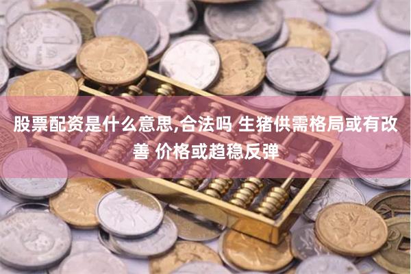 股票配资是什么意思,合法吗 生猪供需格局或有改善 价格或趋稳反弹